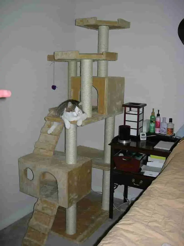 best cat trees for small apartment