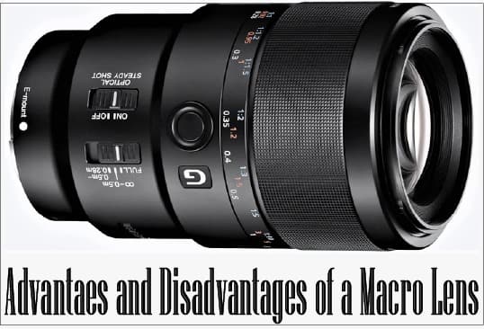 advantages and disadvantages of a macro lens