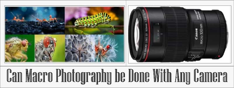 can macro photography be done with any camera