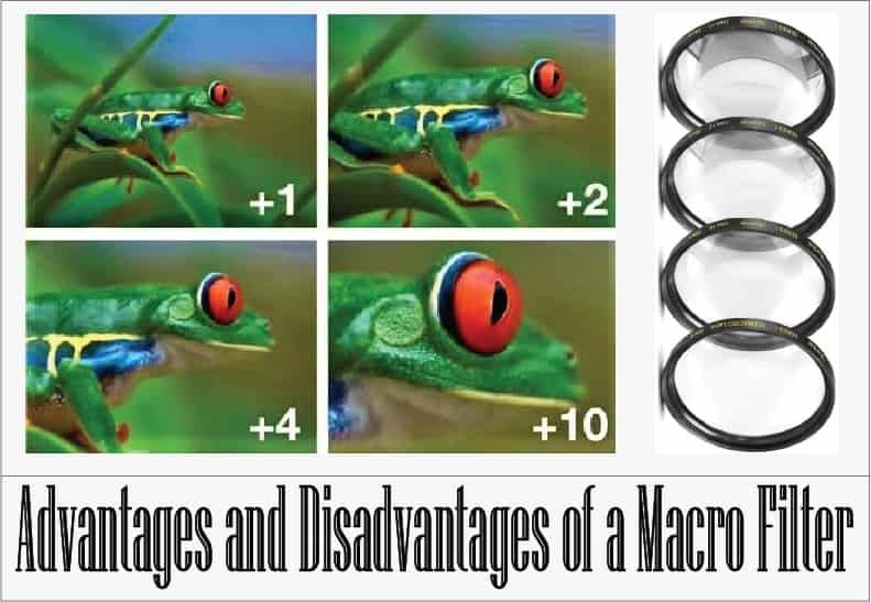 advantages and disadvantages of using a macro filter
